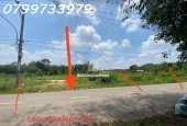Bán đất bình dương giá rẻ, gần khu công nghiệp Bàu Bàng, đầu tư sinh lời